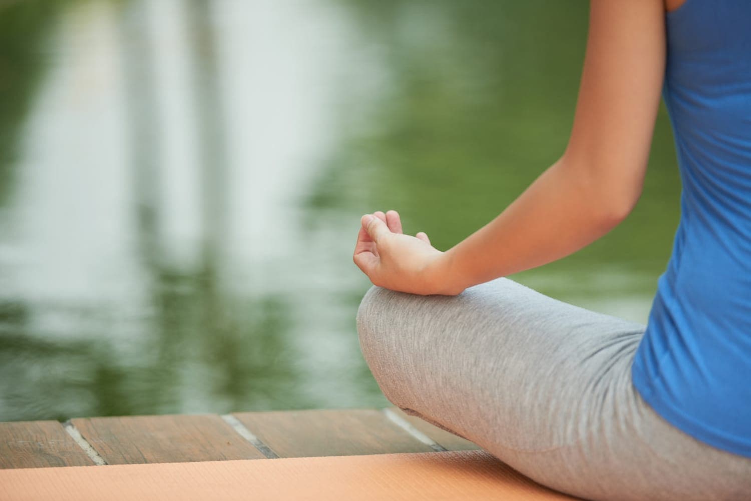 Bhramari Pranayama: A Respiração da Abelha